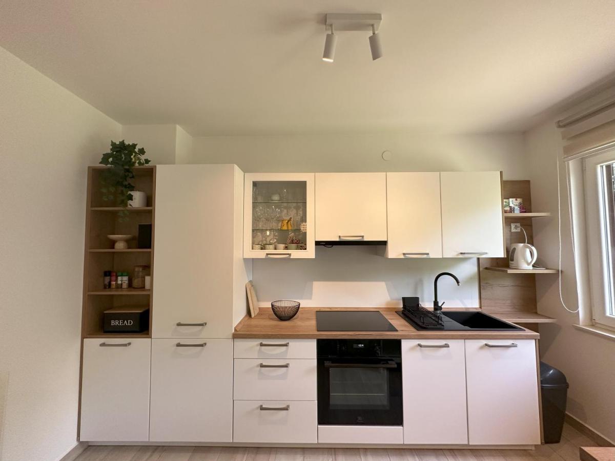 Summer Apartment Nedescina